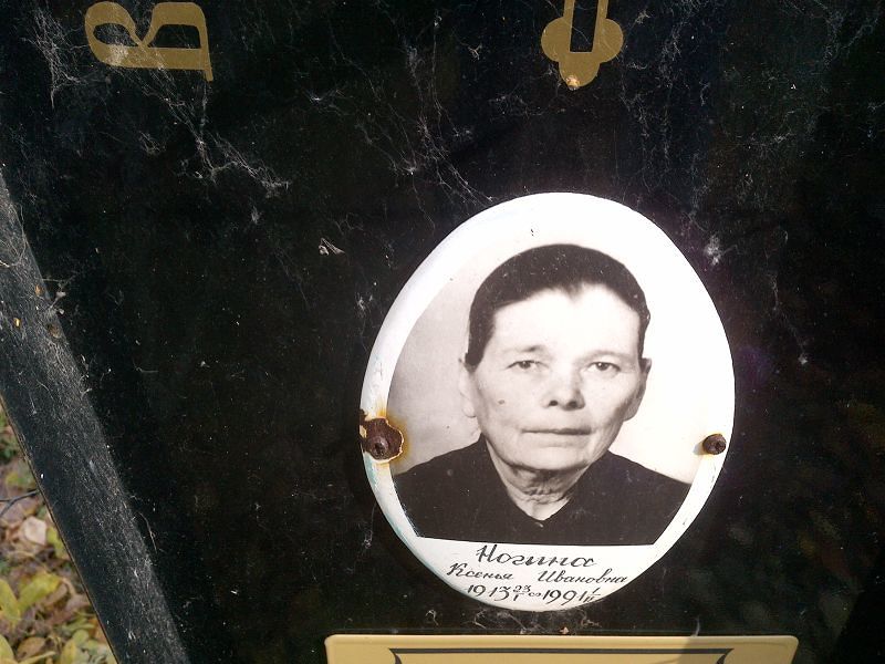 Ногина
