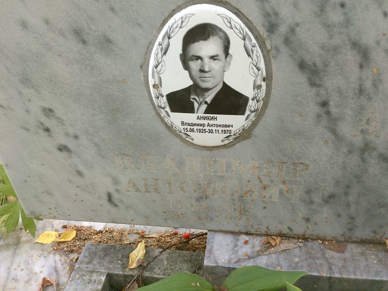 Аникин