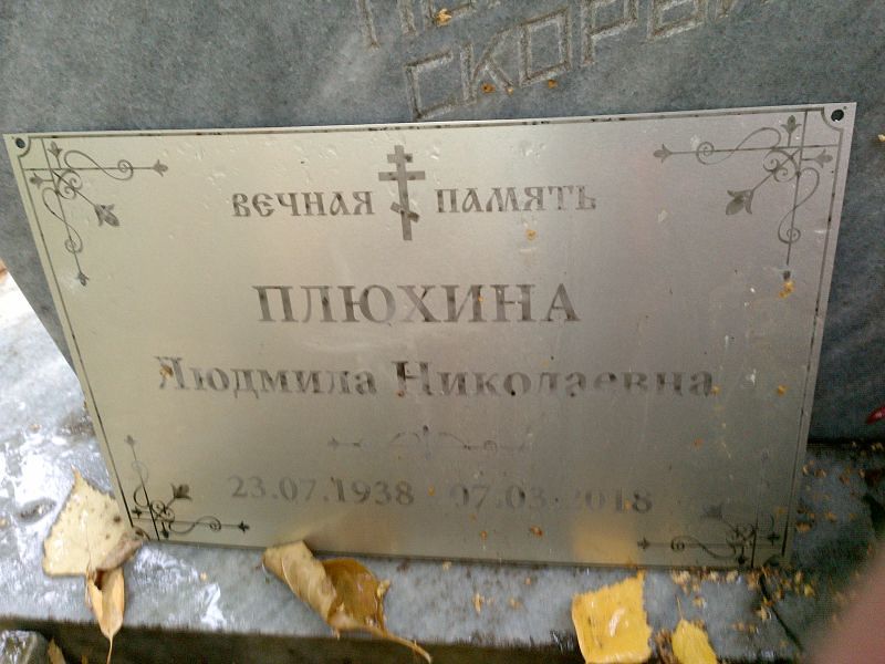 Плюхина