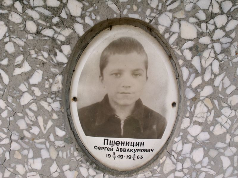 Пшеницин