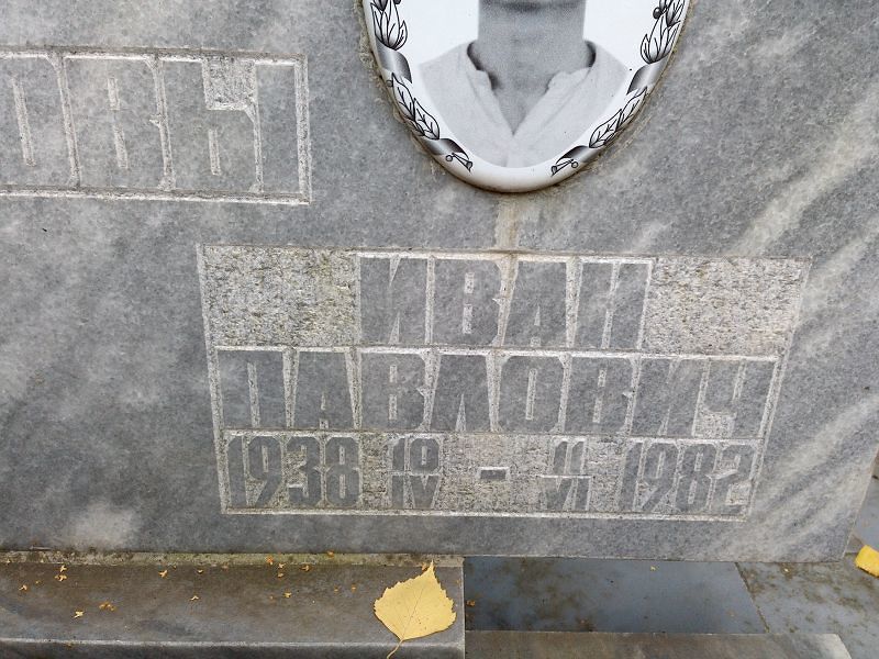 Шавкунов