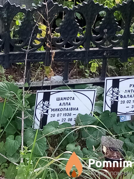 Шамота Алла Миколаївна