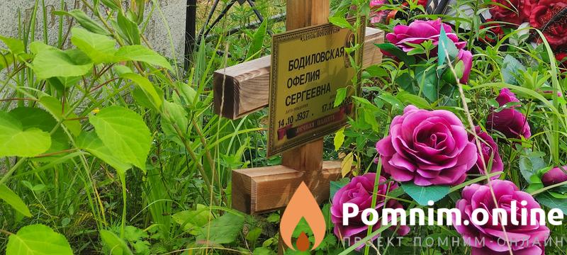 Бодиловская Офелия Сергеевна