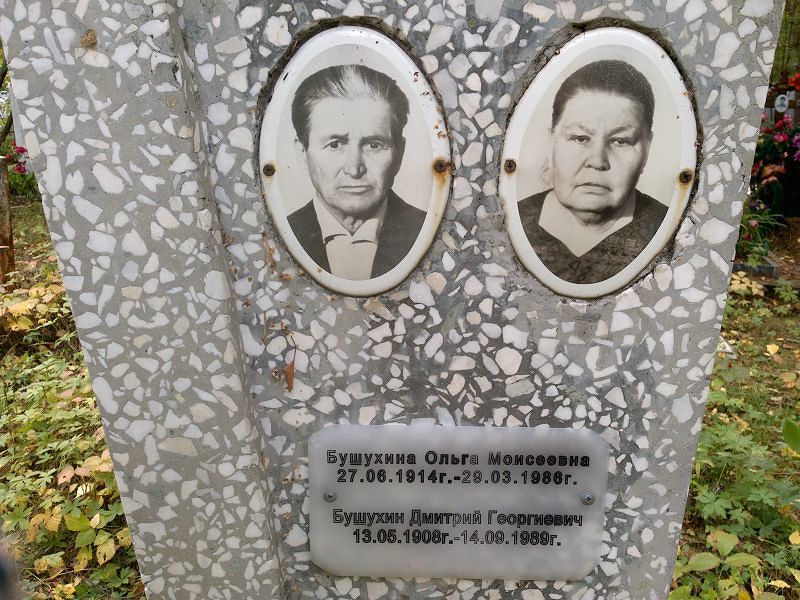 Бушухин