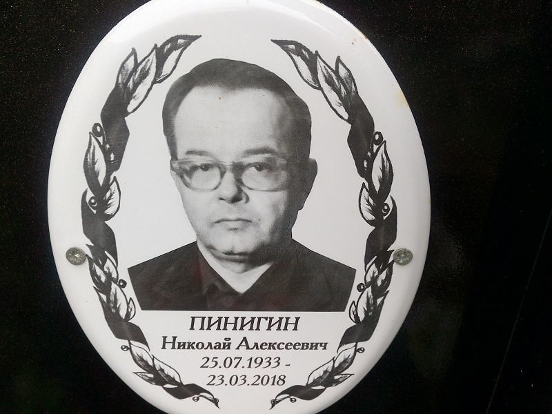 Пинигин