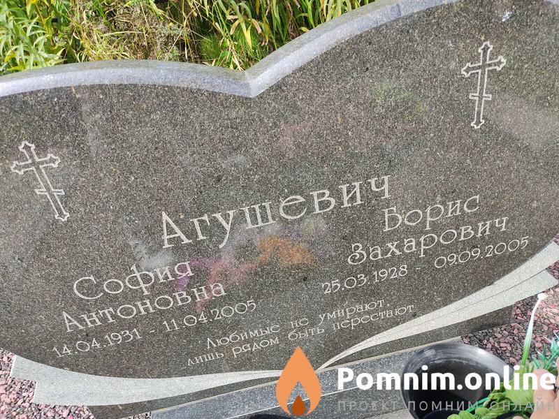 Агушевич Борис Захарович
