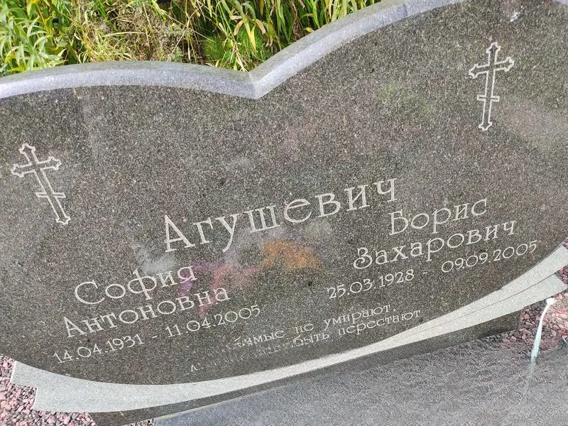 Агушевич Борис