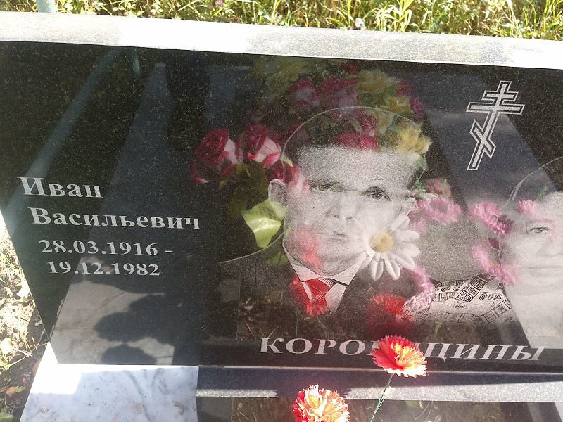 Коровицин