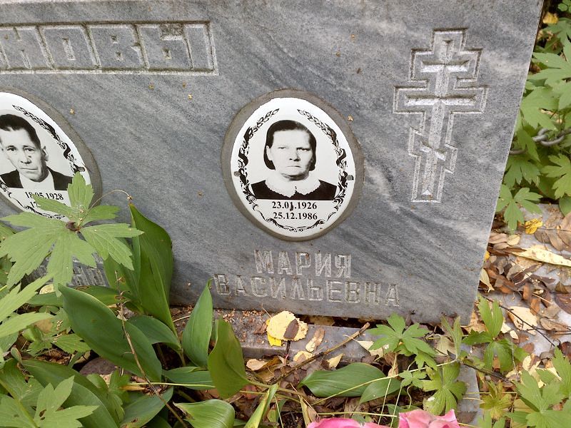 Радионова
