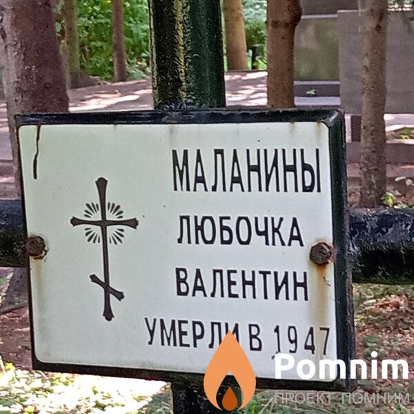 Маланин Валентин