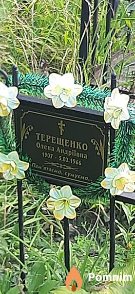 Терещенко Алёна Андреевна