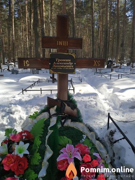Тронин Александр Зиновьевич