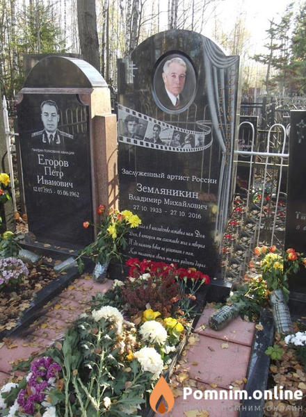 Земляникин Владимир Михайлович