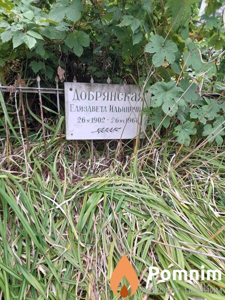 Добрянская Елизавета Ильинична