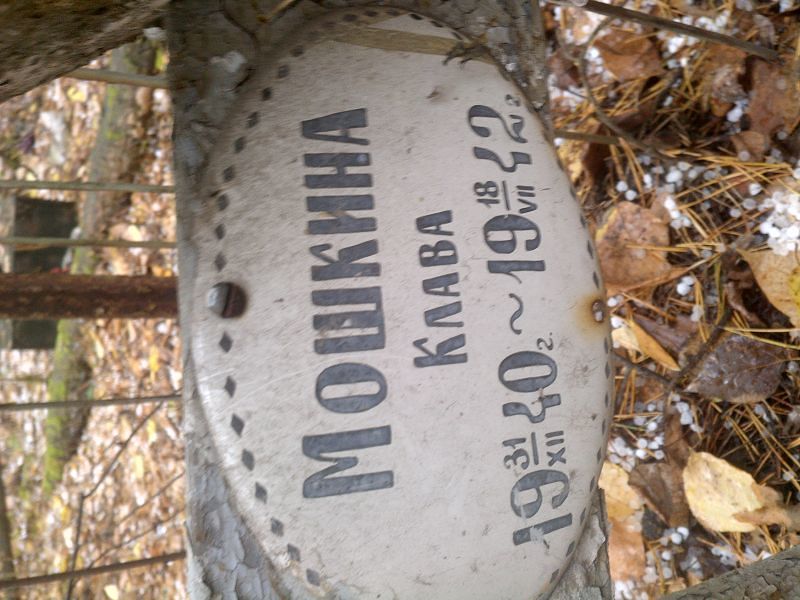 Клава Мошкина