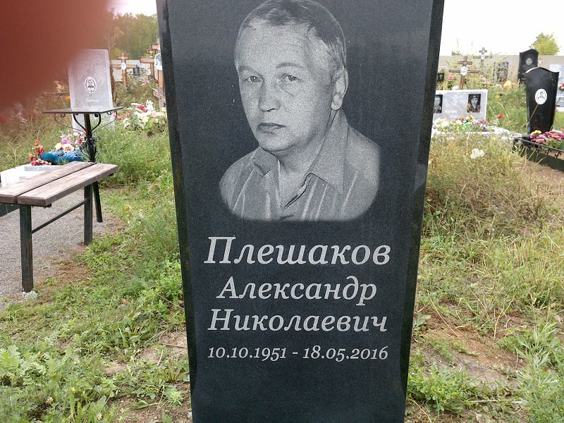Плешаков