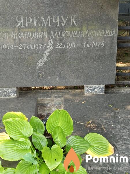 Яремчук Александра Андреевна