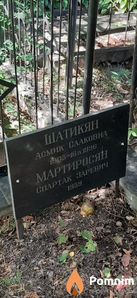 Шатикян Асмик Сааковна