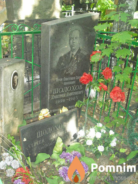Шолохов Дмитрий Дмитриевич
