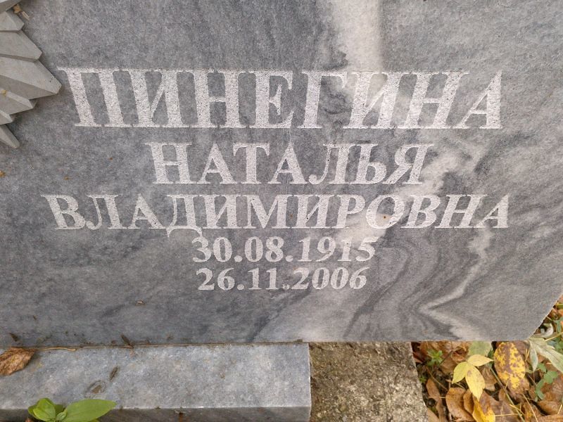 Пинегина