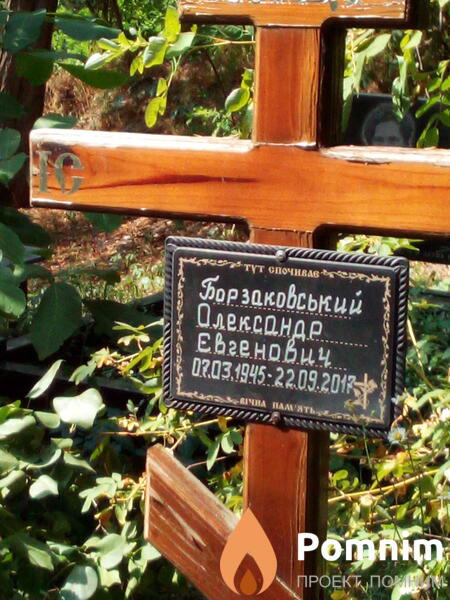 Борзаковский Александр Евгениевич