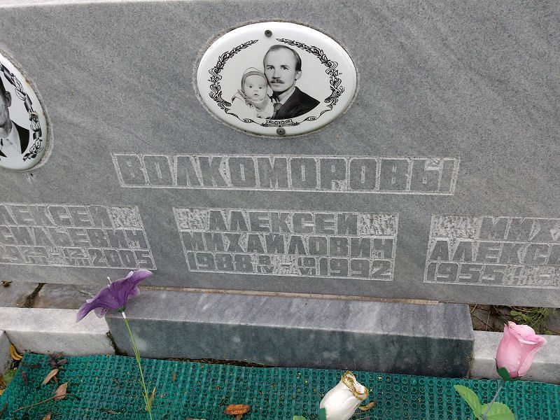 Волкоморов
