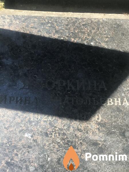Дворкина Ирина Алексеевна