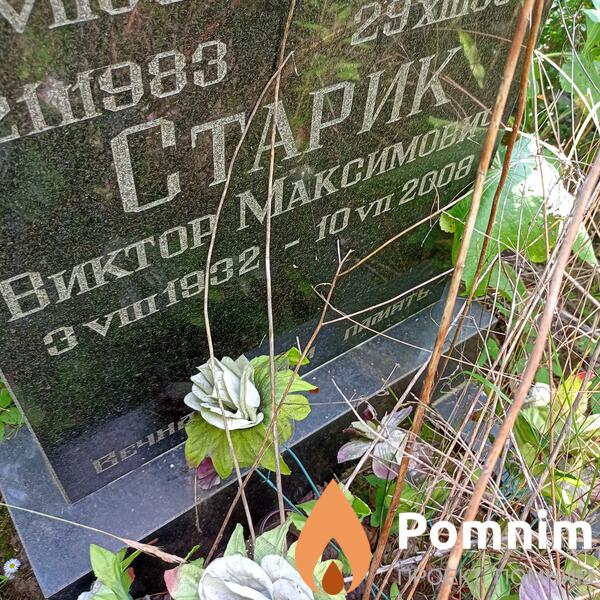 Старик Виктор Максимович