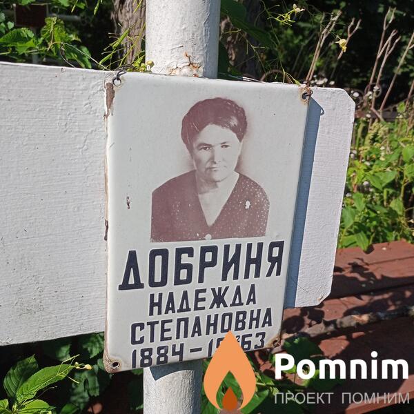 Добриня Надежда Степановна