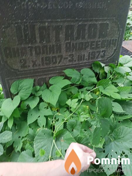 Шаталов Анатолий Андреевич