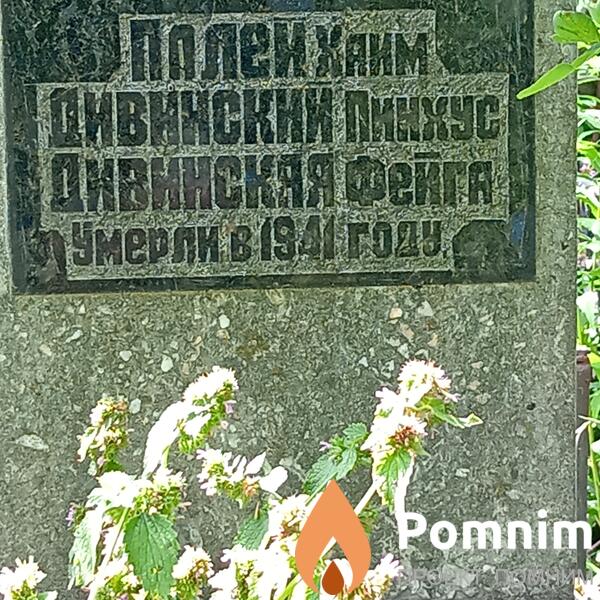 Дивинский Пинхус