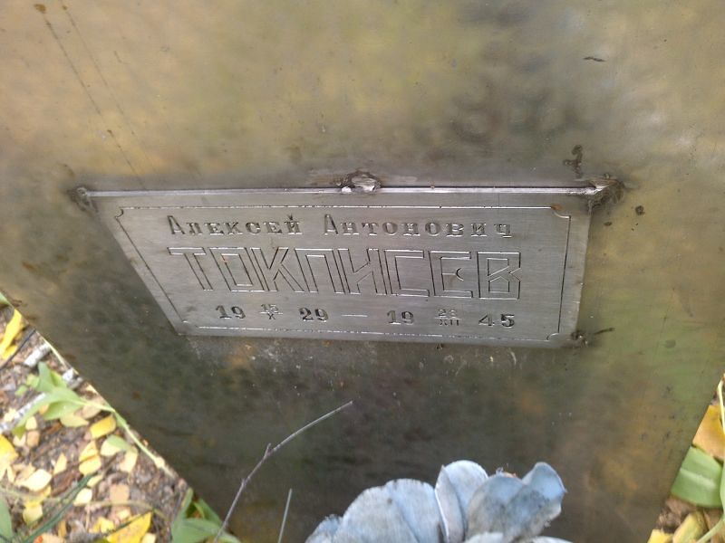 Токписев