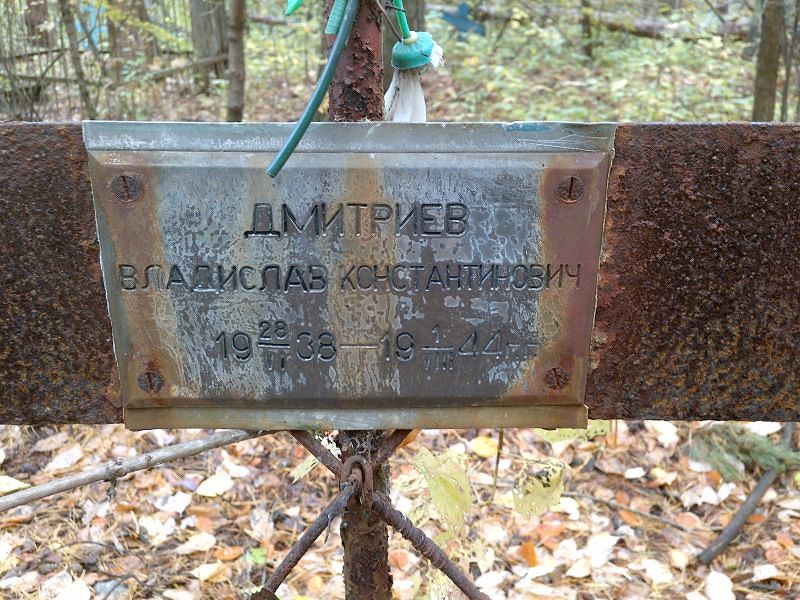 Дмитриев Владислав Константинович