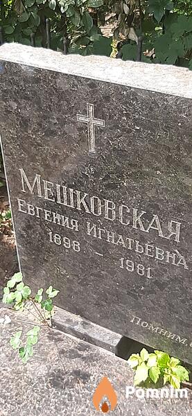 Мешковская Евгения Игнатьевна