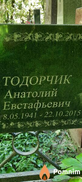 Тодорчик Анатолий Евстафьевич