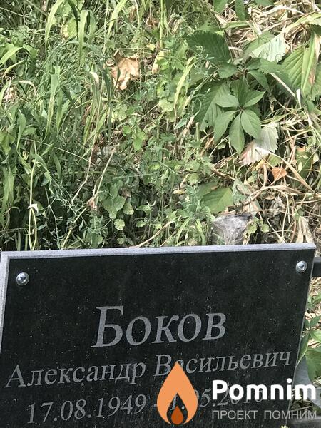 Боков Александр Васильевич