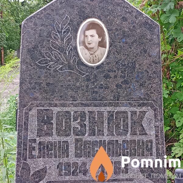 Аознюк Елена Васильевна