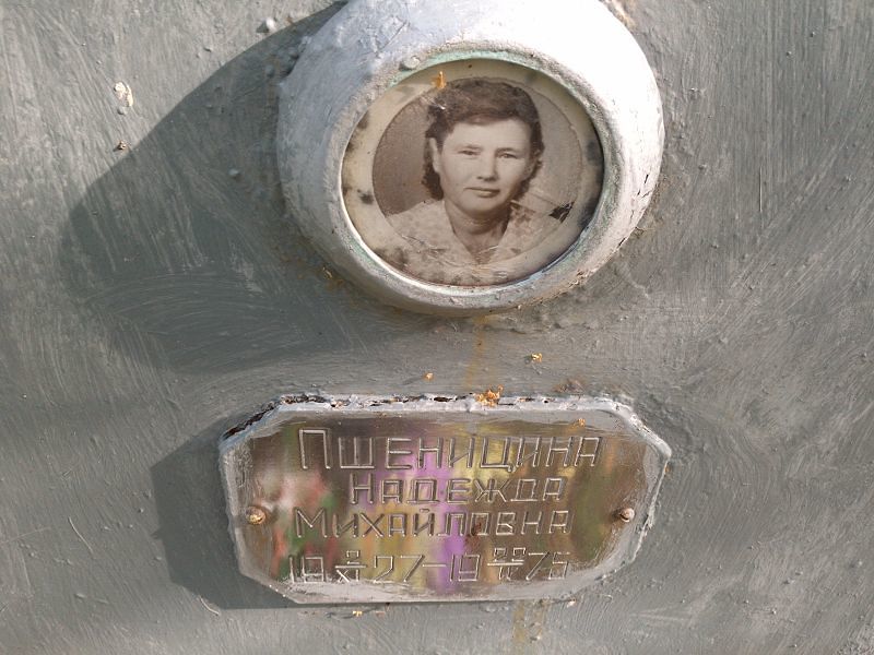 Пшеницина