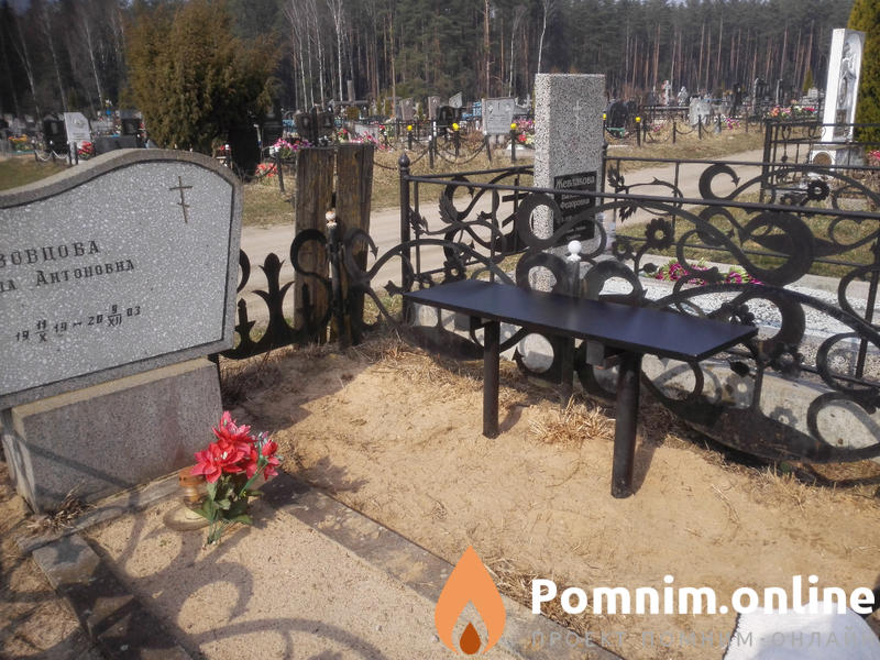 Низовцова Анна Антоновна