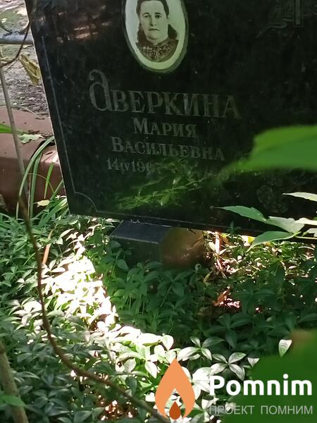 Дверкина Мария Васильевна