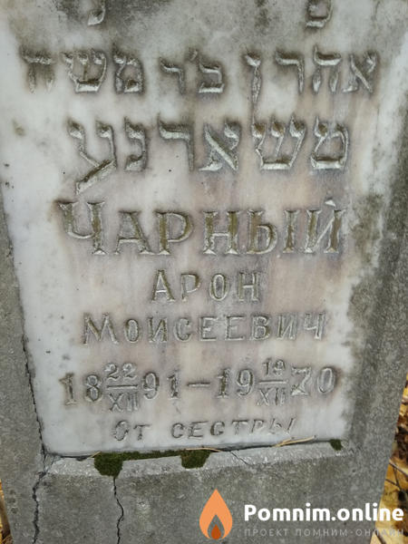 Чарный Арон Моисеевич