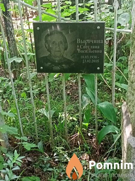 Высочина Светлана Васильевна