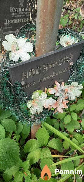 Иосифова Анна Михайловна