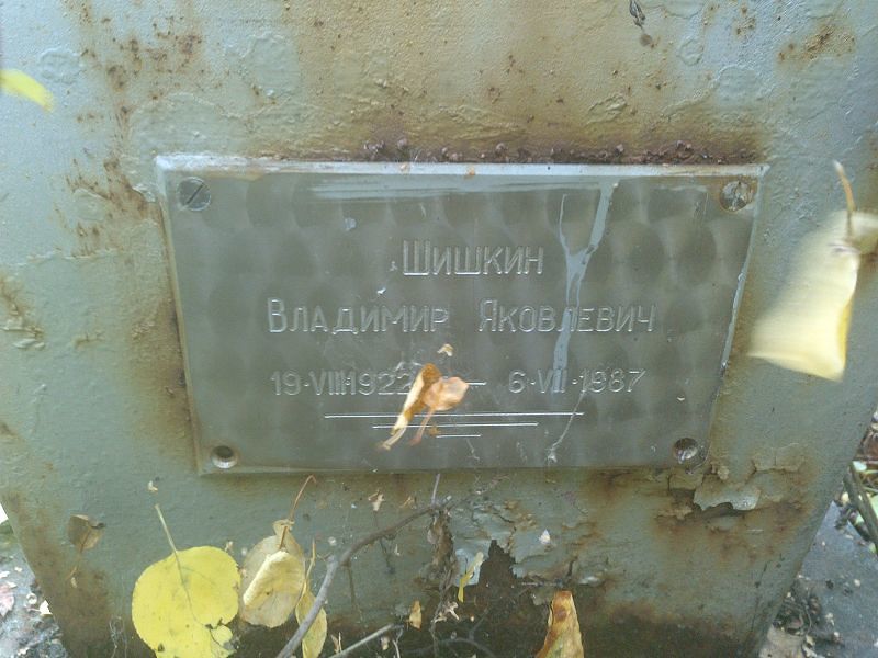 Шишкин