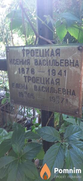 Троецкая Елена Васильевна
