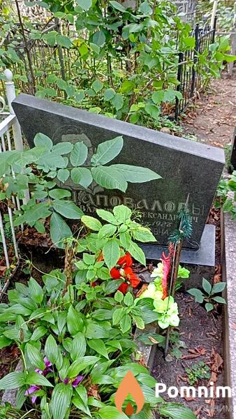 Шаровалов Владимир Александрович