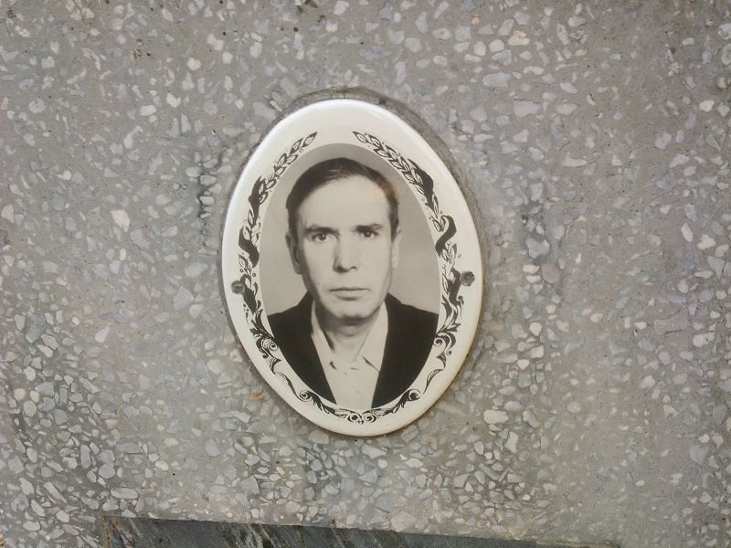 Спицин