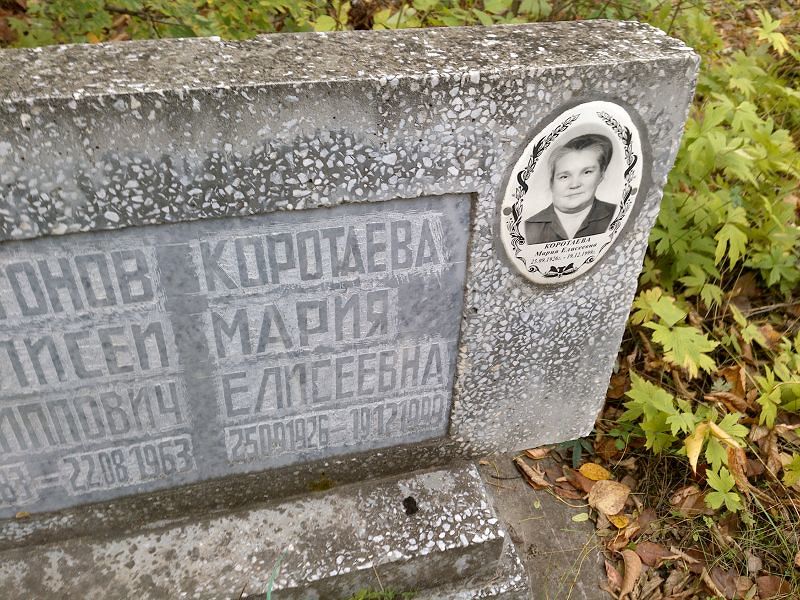 Коротаева