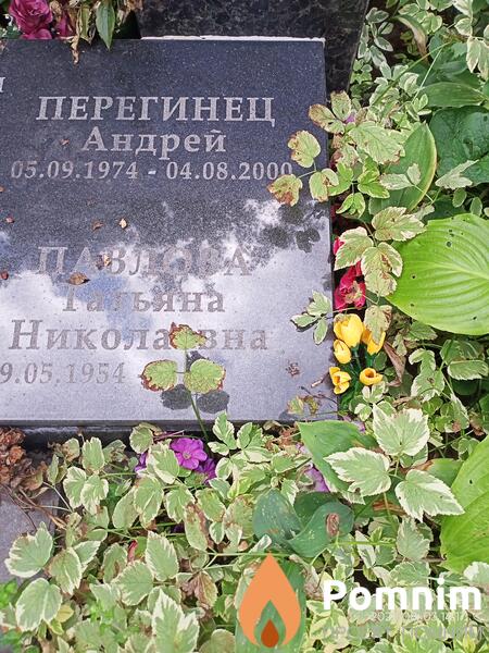 Перегинец Андрей