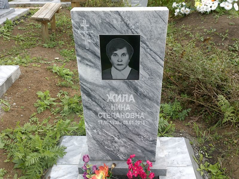 Жила
